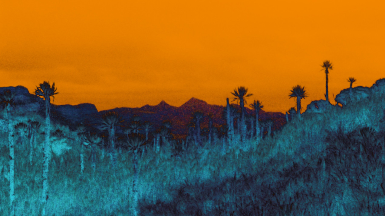 Cinéma du Réel 2024