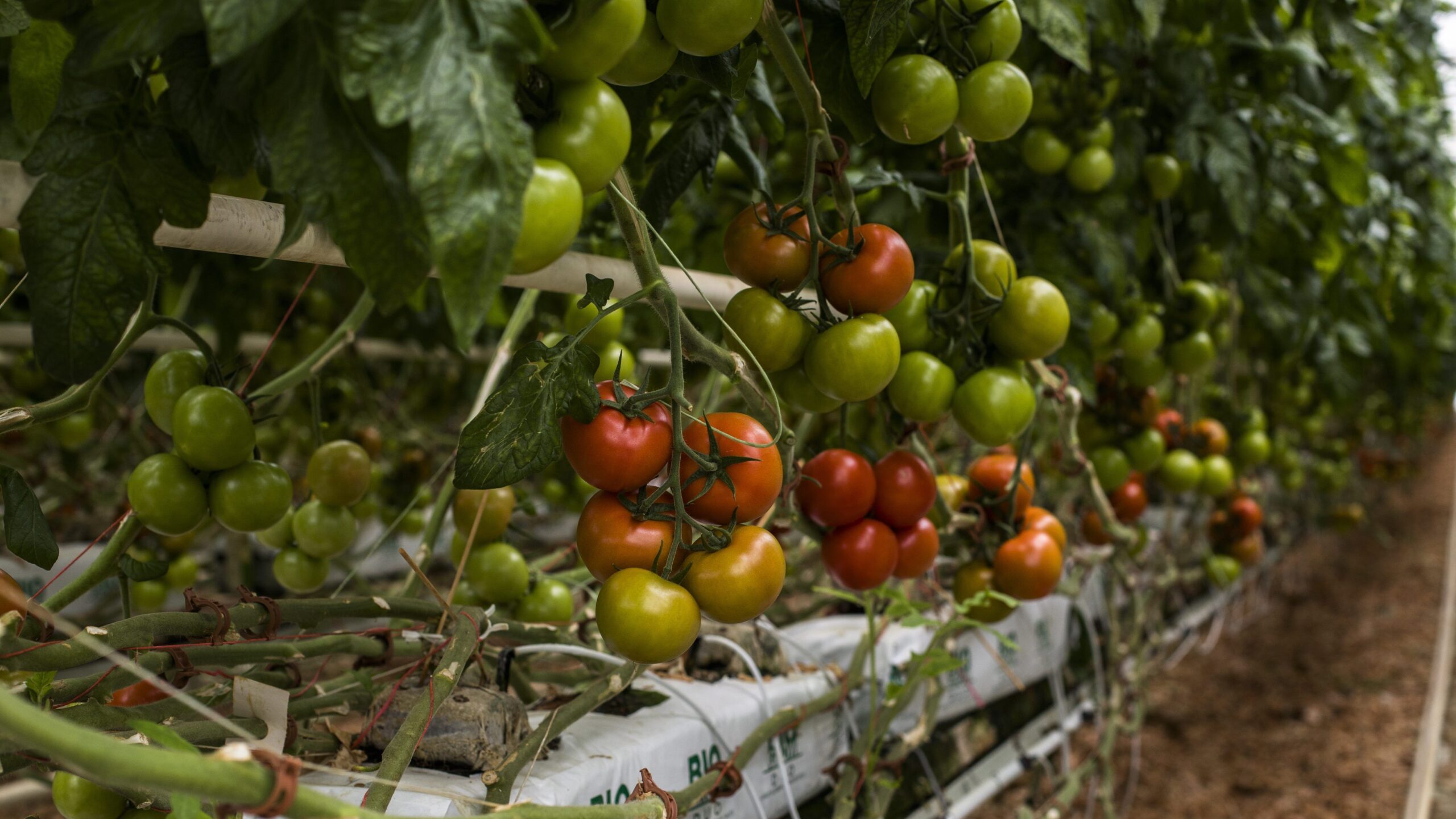 Une saison agricole