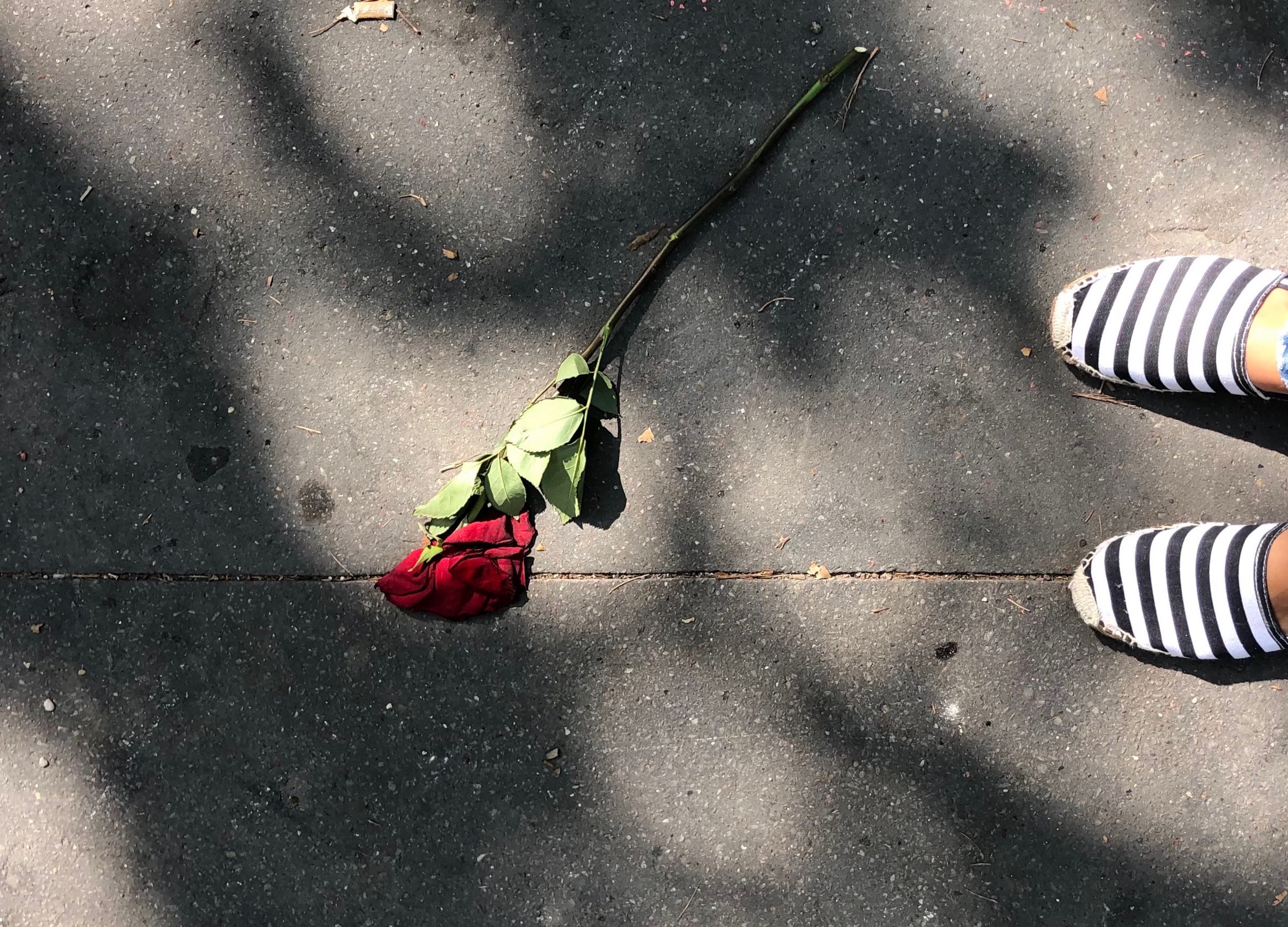 MURAKAMI, MON AMOUR.